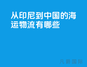 从印尼到中国的海运物流有哪些