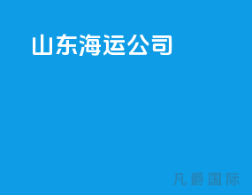 山东海运公司