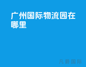 广州国际物流园在哪里