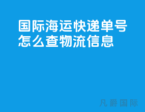 国际海运快递单号怎么查物流信息
