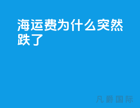 海运费为什么突然跌了
