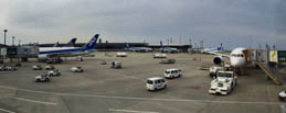 国际空运客服