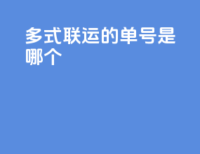 多式联运的单号是哪个
