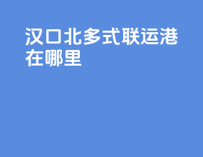 汉口北多式联运港在哪里
