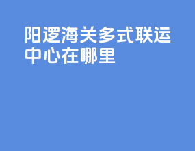 阳逻海关多式联运中心在哪里