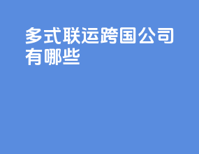 多式联运跨国公司有哪些