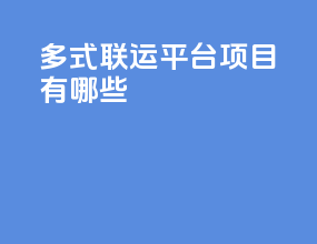 多式联运平台项目有哪些