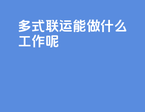 多式联运能做什么工作呢