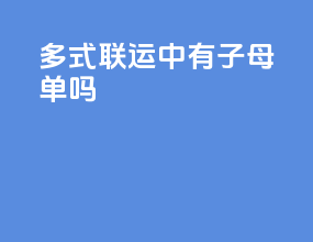 多式联运中有子母单吗