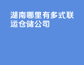湖南哪里有多式联运仓储公司