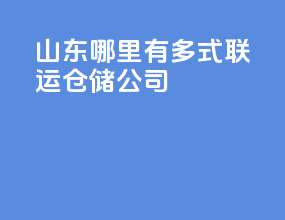 山东哪里有多式联运仓储公司