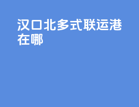 汉口北多式联运港在哪