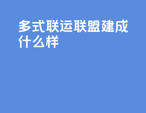 多式联运联盟建成什么样