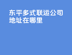 东平多式联运公司地址在哪里