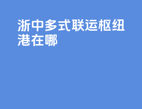 浙中多式联运枢纽港在哪