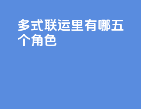多式联运里有哪五个角色