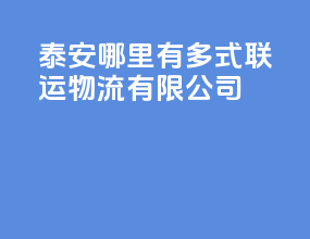 泰安哪里有多式联运物流有限公司