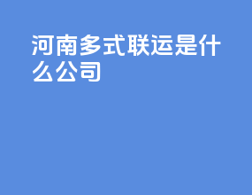 河南多式联运是什么公司