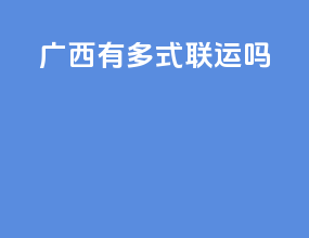 广西有多式联运吗
