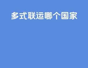 多式联运哪个国家