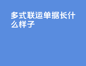 多式联运单据长什么样子