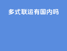 多式联运有国内吗