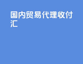 国内贸易代理收付汇