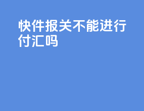 快件报关不能进行付汇吗