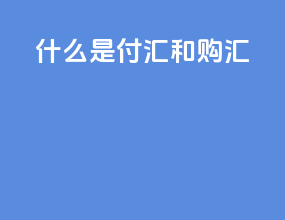 什么是付汇和购汇