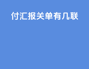 付汇报关单有几联