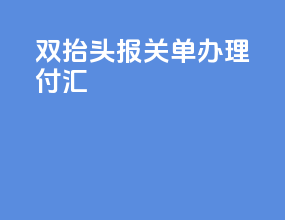 双抬头报关单办理付汇