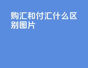 购汇和付汇什么区别图片