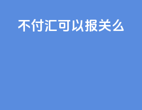 不付汇可以报关么