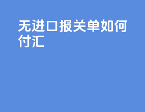 无进口报关单如何付汇