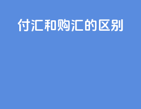 付汇和购汇的区别