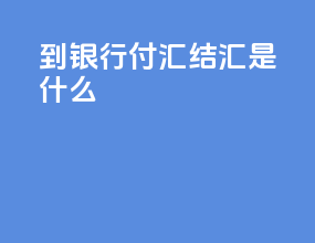 到银行付汇结汇是什么