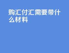 购汇付汇需要带什么材料
