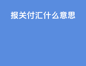 报关付汇什么意思