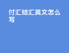 付汇结汇英文怎么写