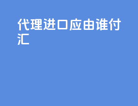 代理进口应由谁付汇