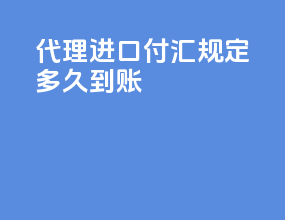 代理进口付汇规定多久到账
