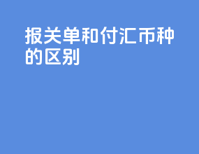 报关单和付汇币种的区别