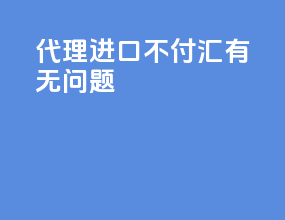 代理进口不付汇有无问题