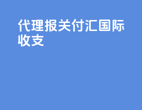 代理报关付汇国际收支