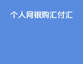 个人网银购汇付汇
