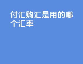 付汇购汇是用的哪个汇率