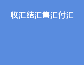 收汇 结汇 售汇 付汇PPT