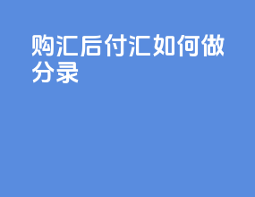 购汇后付汇如何做分录