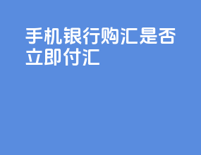 手机银行购汇是否立即付汇