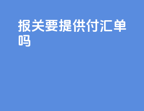 报关要提供付汇单吗